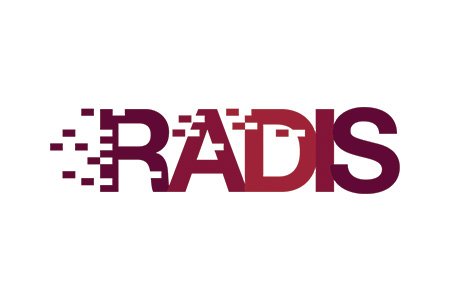 Logo Projekt RADIS